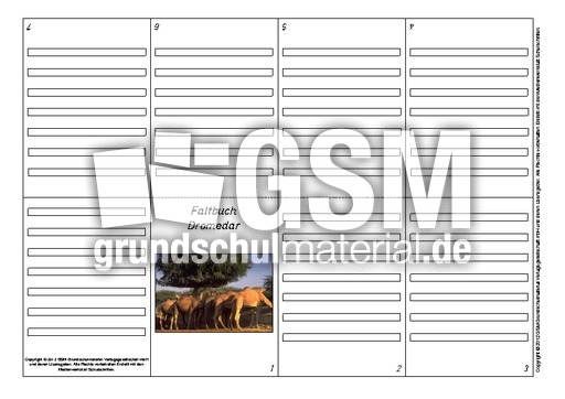 Faltbuch-Dromedar-2.pdf